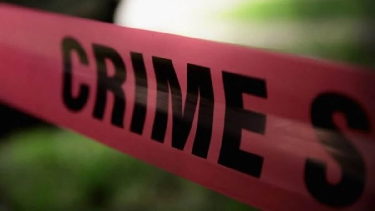 कटनी जिले में युवक के सिर पर पत्थर मारकर हत्या, फिर झाड़‍ियों में छिपा दी लाश