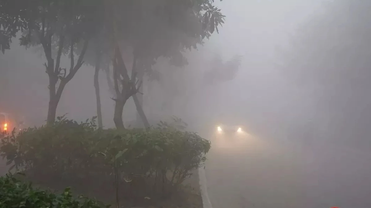 Weather Update: अगले 24 घंटों में बढ़ेगा सर्दी का कहर, इन राज्‍यों में बारिश और बर्फबारी की आशंका