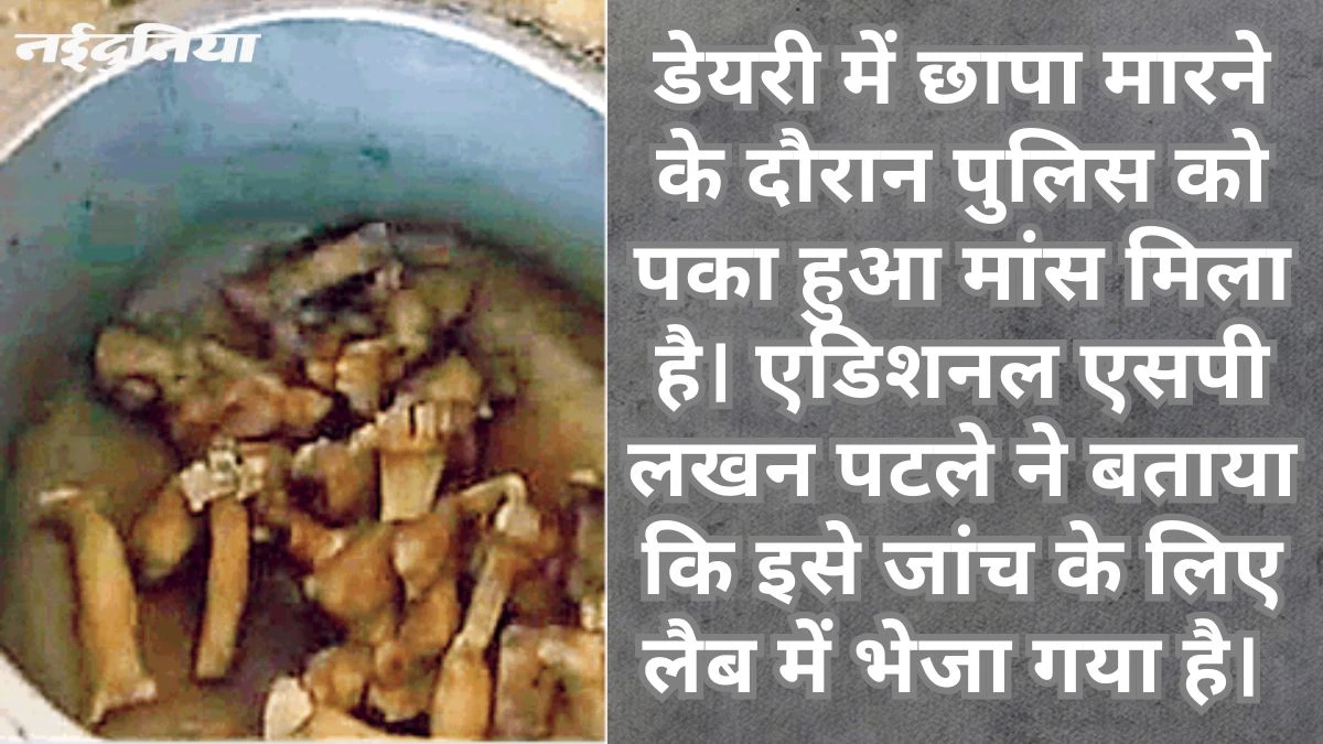 गोमांस का शक, रायपुर की डेयरी में पुलिस ने मारा छापा… संचालक समेत कर्मचारी फरार