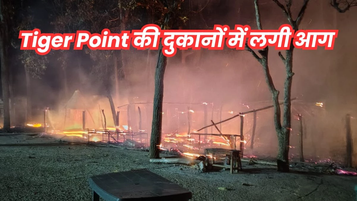 छत्तीसगढ़ में मैनपाट के टाइगर पाइंट में लगी भीषण आग, एक दर्जन दुकानें जलकर हुईं खाक