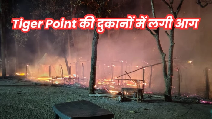 छत्तीसगढ़ में मैनपाट के टाइगर पाइंट में लगी भीषण आग, एक दर्जन दुकानें जलकर हुईं खाक