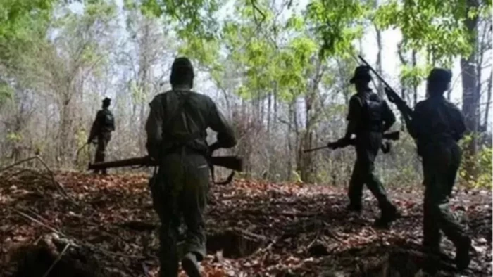 मोहला-मानपुर में सुरक्षाबलों और माओवादियों के बीच मुठभेड़, घेराबंदी देख जंगल में भागे नक्सली, रायफल और सामग्री बरामद