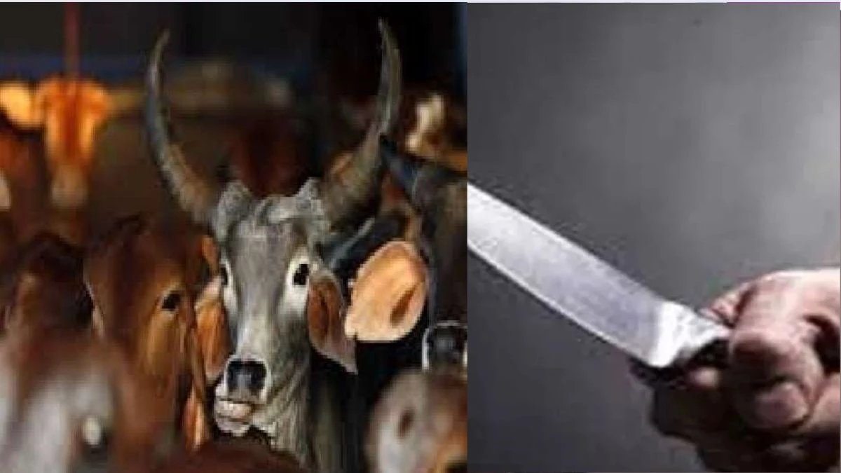 In Satna, the killing of the cow dynasty, tied to the tree and cut several parts; An atmosphere of tension in the area