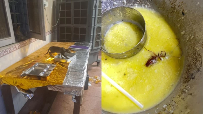 जबलपुर की लॉ यूनिवर्सिटी में हंगामा, हॉस्टल के खाने में निकले कॉकरोच, किचन में घूमती दिखी बिल्ली