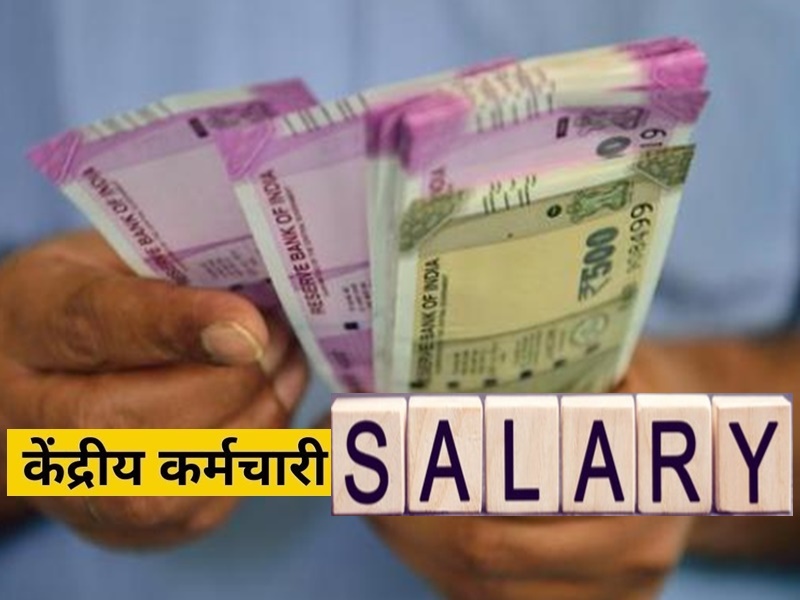 central government employees salary slip