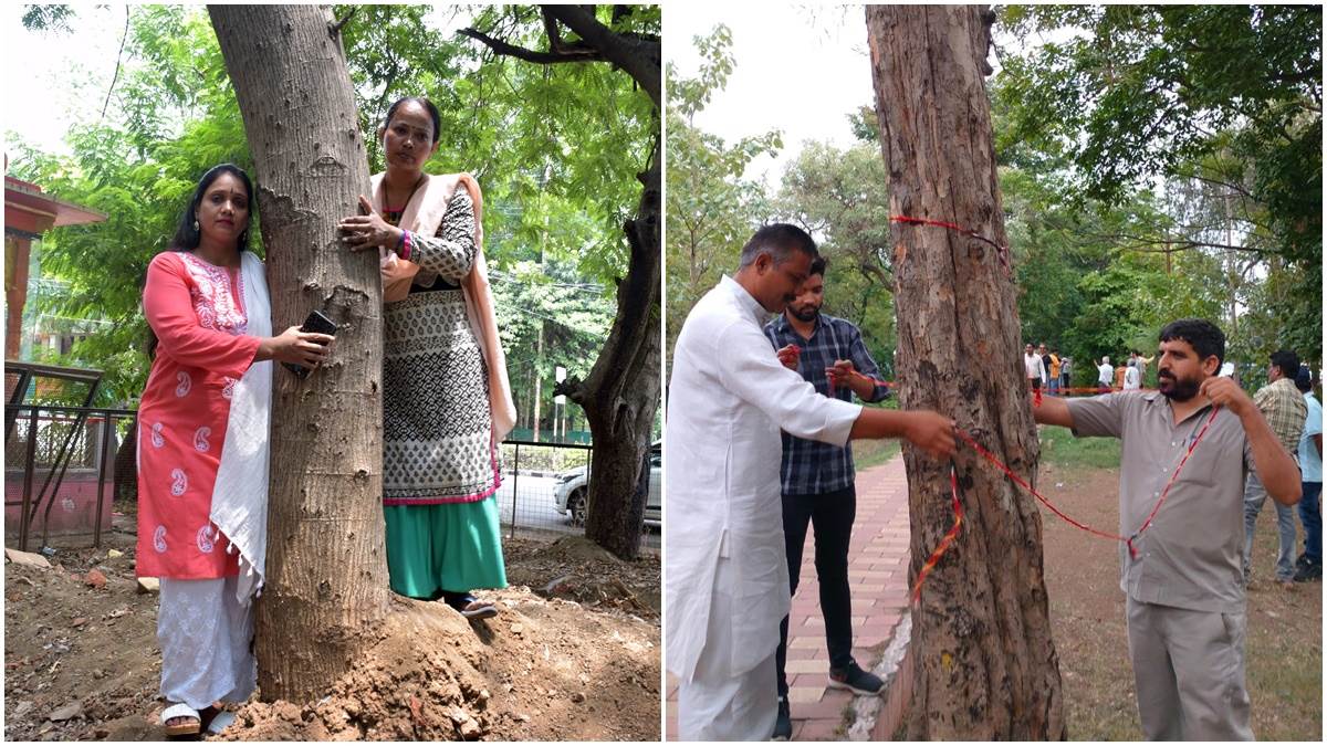 Bhopal News: हरियाली बचाने चिपको आंदोलन ने पकड़ा जोर, पेड़ों से लिपटी महिलाएं, पुरुषों ने बांधे रक्षासूत्र