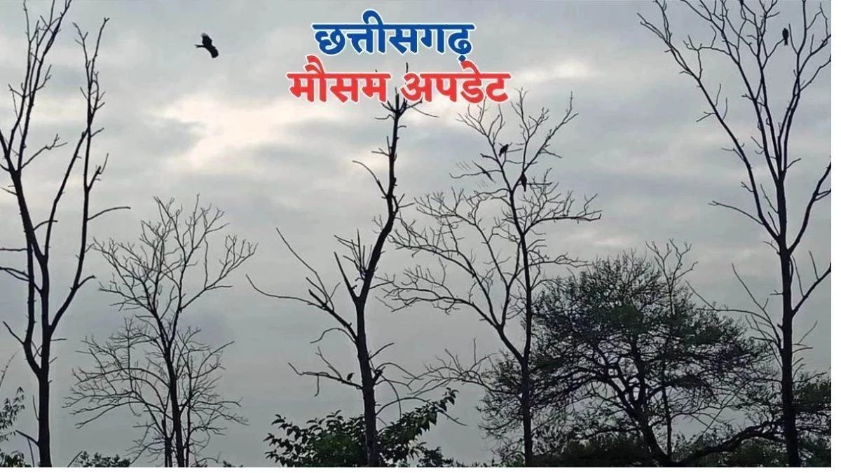 Chhattisgarh Weather: छत्तीसगढ़ में फिर सक्रिय हुआ मानसून, कई जिलों में भारी बारिश की संभावना