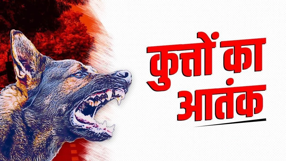 कुत्तों का आतंक... कॉलेज जा रही छात्रा पर झुंड ने किया हमला