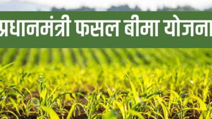 छत्तीसगढ़ के किसान ध्यान दें: फसल बीमा का लाभ पाने 72 घंटे के भीतर देनी होगी नुकसान की जानकारी, पंजीयन शुरू