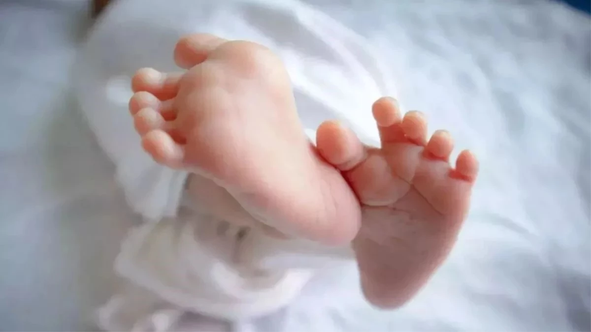 Indore: निर्दयी मां ने नवजात को कचरे में फेंका, महिला ने स्तनपान करवाकर बचाई जान