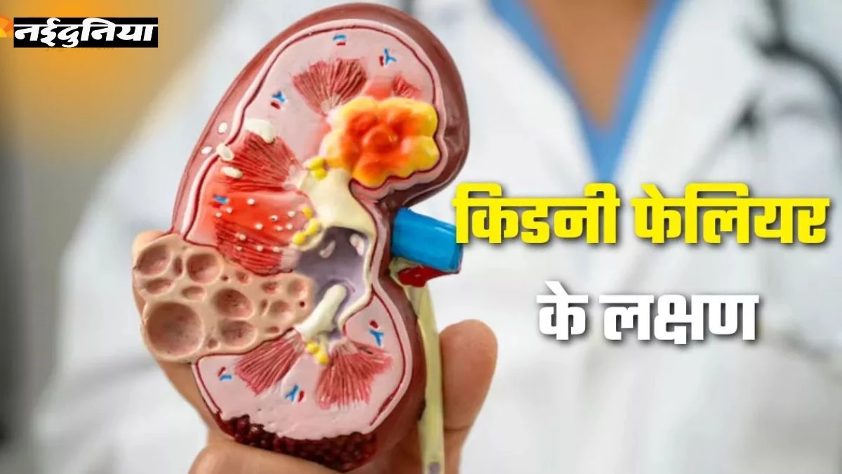 Kidney Failure Symptoms: पेशाब में दिखें ये संकेत तो हो जाएं सचेत, किडनी खराब होने के जान लें शुरुआती लक्षण