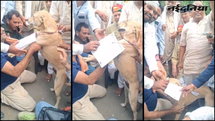 कलेक्टर से मिलने पर अड़े किसान, नहीं मिले तो कुत्ते के गले में पहना दिया ज्ञापन, खंडवा में अनोखे विरोध का वीडियो वायरल