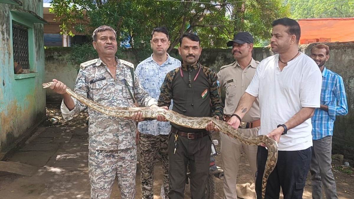 बोरी से निकल कार के इंजन में घुसा 12 फीट का अजगर, खेतों में दिखे मगरमच्छ का...