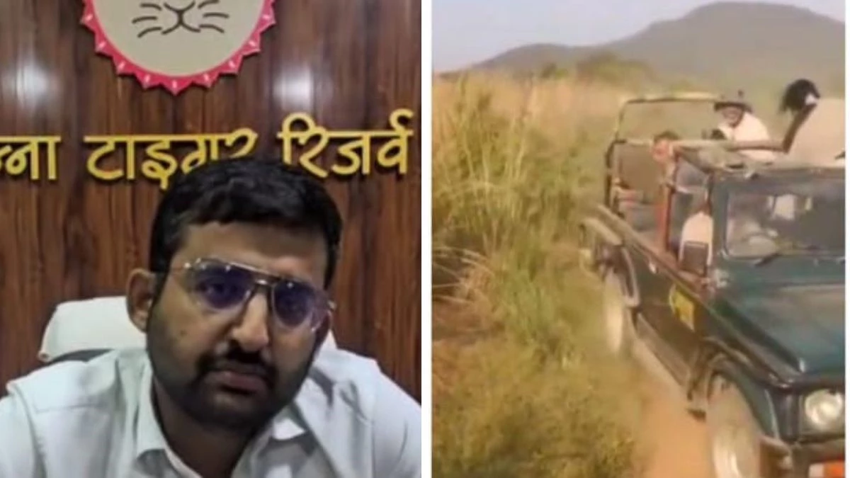 'सफारी के नियमों का उल्लंघन', टाइगर रिजर्व में बाघिन का वीडियो वायरल, पन्ना के ऑफिसर ने लिया सख्त एक्शन