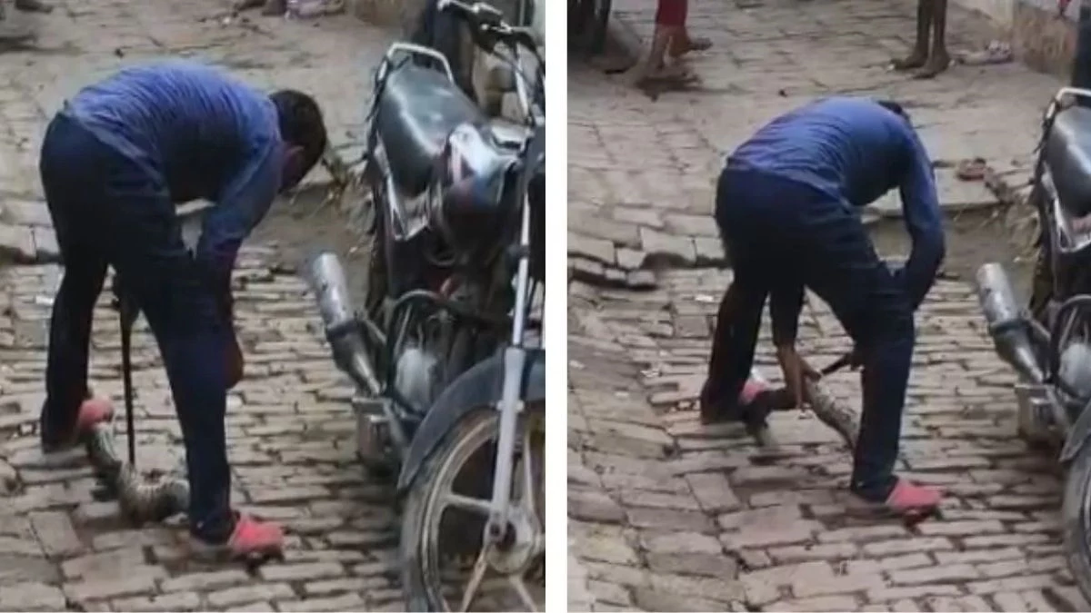 युवक ने पार कर दी सभी हदें, अजगर को बीच सड़क चाकू से काट डाला, VIDEO वायरल