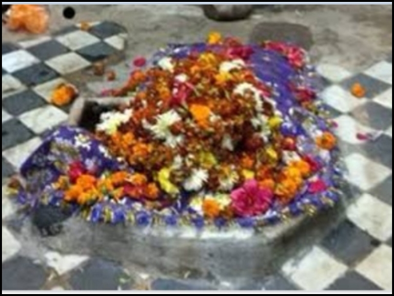 Navratri 2021: रायपुर के प्रसिद्ध शीतला मंदिर का कोई आकार नहीं, 200 साल से पत्थर रूप में पूजी जा रहीं