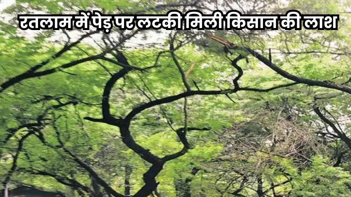 रतलाम जिले के तालोद में फांसी पर लटका मिला किसान, परिजनों ने लगाया हत्या का आरोप