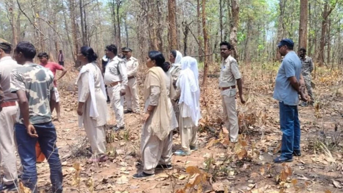 Ambikapur News: अंबिकापुर में हाथी के हमले में महिला की मौत, 15 दिन में 6 लोगों की गई जान