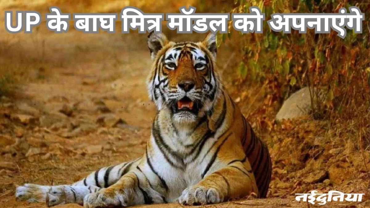Chhattisgarh Tiger Conservation: बाघों की सुरक्षा के लिए लागू होगी बाघ मित्र योजना, सरकार ने हाई कोर्ट में पेश किया जवाब