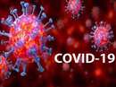 MP Coronavirus update: 7106 patients of corona were found in the state, 12345 became healthy