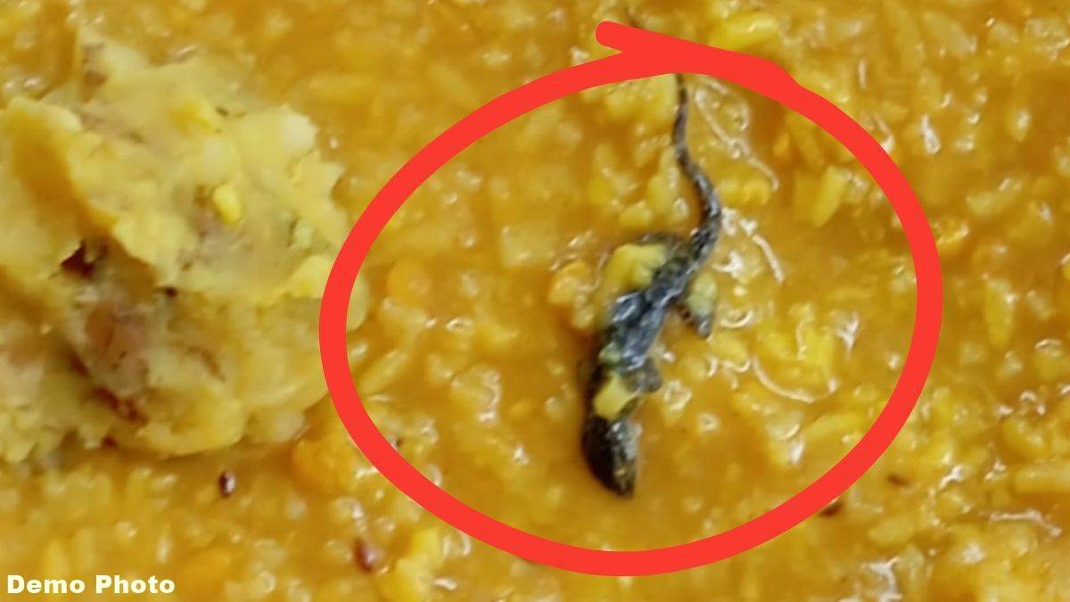 सामूहिक कन्या विवाह कार्यक्रम में पहुंचे अतिथियों के भोजन में मिली छिपकली