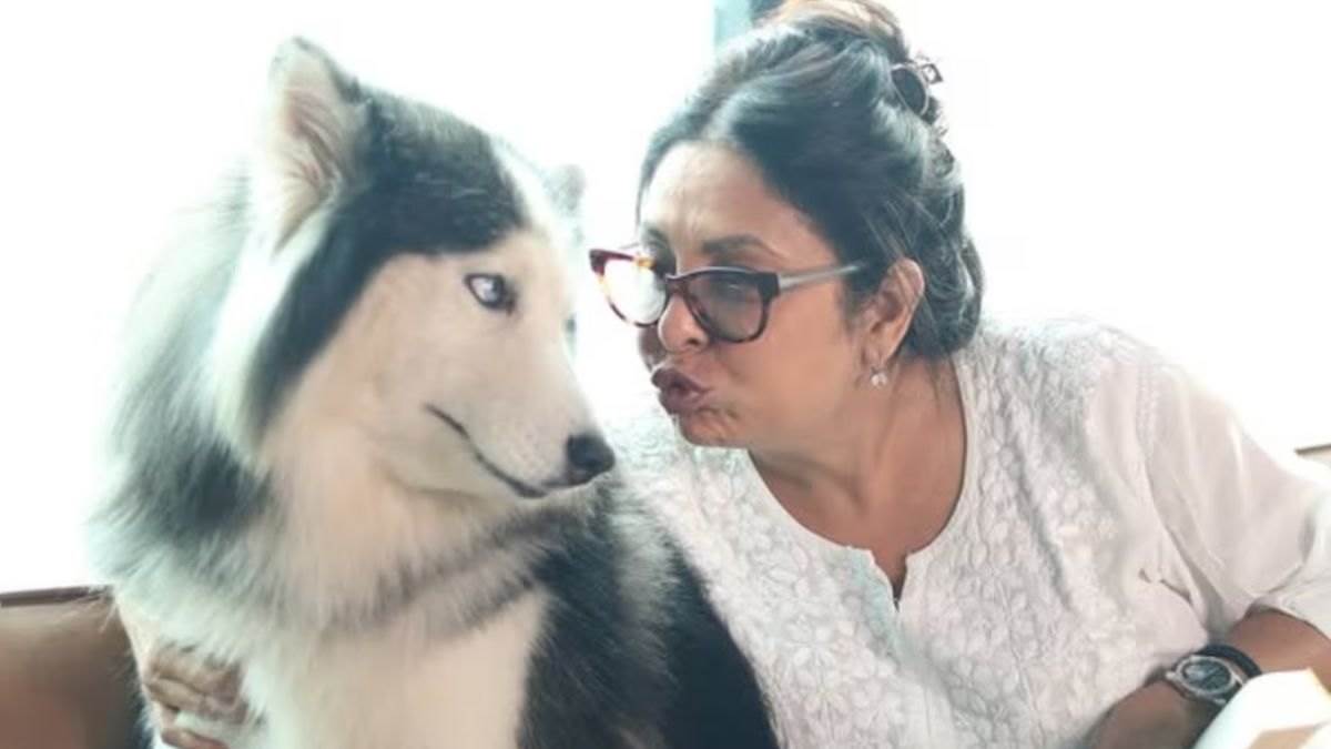 ‘बच्चों की जगह कुत्ते पाल लो…’ शेफाली शाह ने महिलाओं को दी बड़ी सलाह, बयान हो रहा वायरल