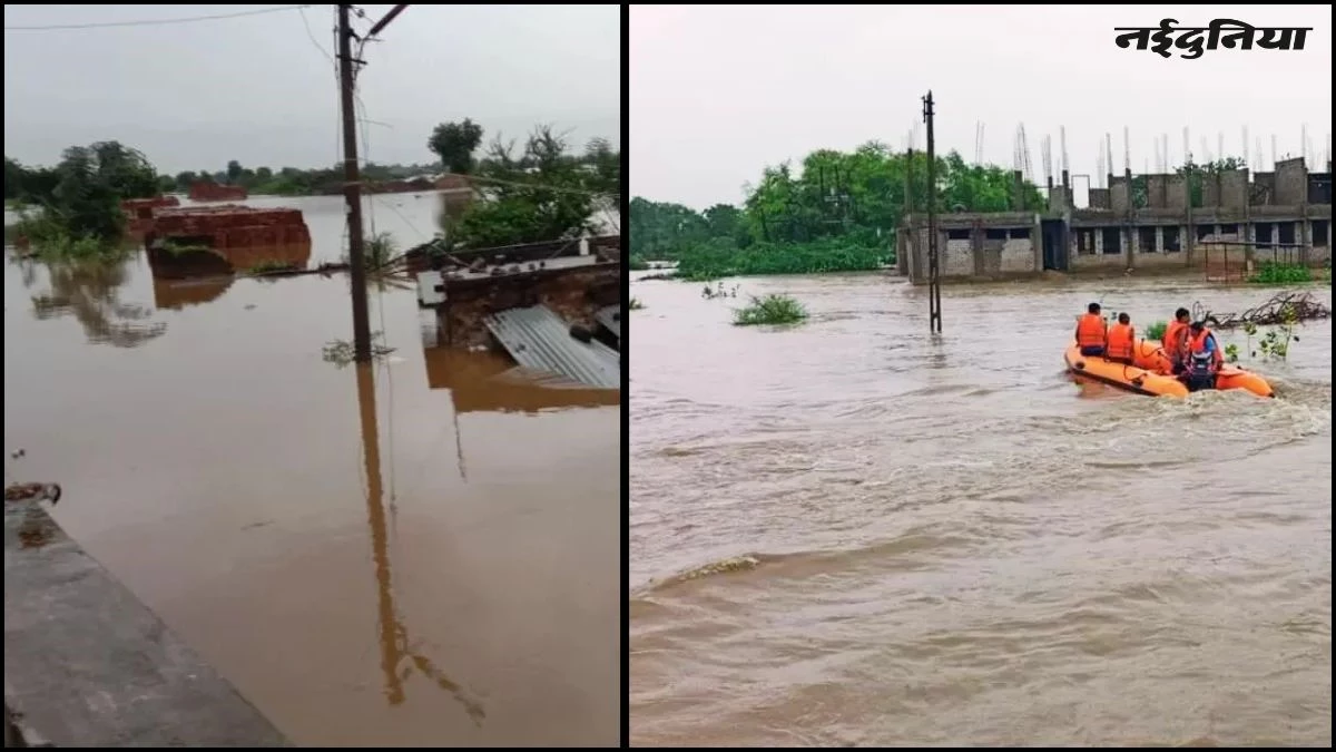 MP में बारिश-बाढ़ से हाहाकार... सड़कें बनीं दरिया, तिनके की तरह बहे वाहन, दो की मौत