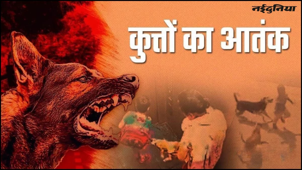 Stray Dogs: यूपी के पीलीभीत में बेकाबू हुए कुत्ते, हर दिन लग रहे हैं इतने इंजेक्शन, आंकड़े सुन चौंक जाएंगे आप