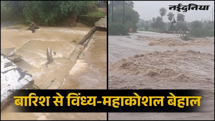 महाकोशल-विंध्य अंचल में आफत की बारिश, नदी-नालों के उफान से 6 लोगों की मौत, सीधी-डिंडौरी में भारी बारिश का ऑरेंज अलर्ट
