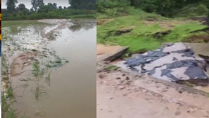 उमरिया में बारिश ने मचाई तबाही, खेतों में डूबी धान की फसल, किसान परेशान