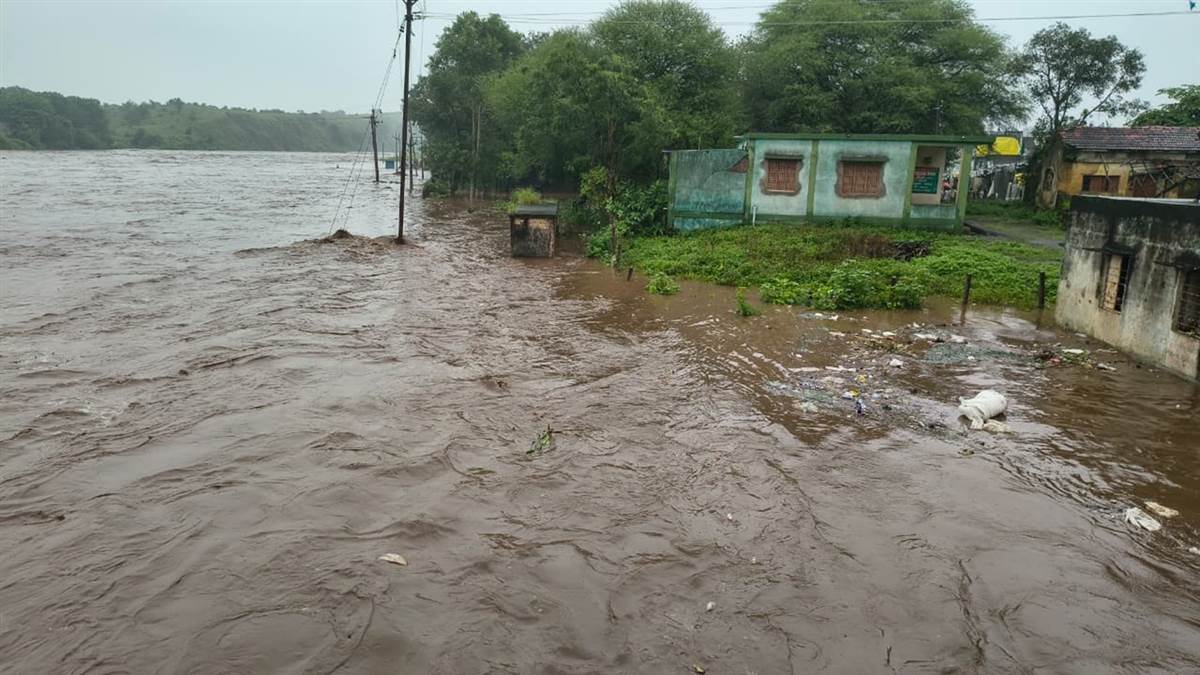 MP News: बुरहानपुर में चार घंटे तेज बारिश से उफने नदी-नाले, खेतों में भरा पानी