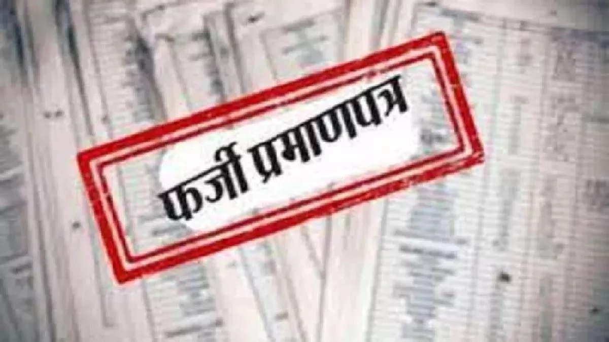 स्वतंत्रता सेनानी कोटा घोटाला: MP में मेडिकल एडमिशन के लिए फर्जी प्रमाण पत्र पकड़े; NEET काउंसलिंग से रद्द हुए प्रवेश