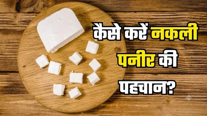 नकली मावे-पनीर की जांच कैसे कर सकते है? सेम्पल की जांच कहां होगी? वाट्सएप पर भी दे सकते हैं जानकारी