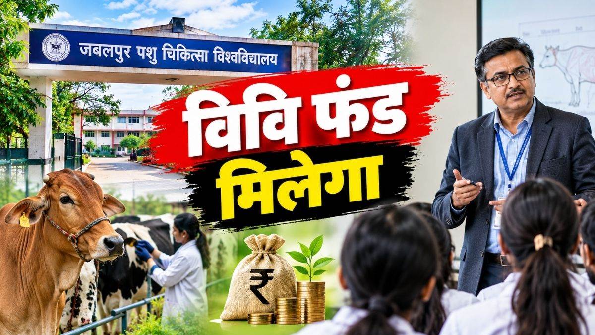अब शोध के लिए नहीं ताकेंगे किसी का मुंह, जबलपुर का वेटरनरी विश्वविद्यालय देगा प्रोफेसरों को फंड