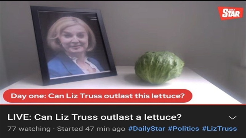 World British Prime Minister Liz Truss Is Likened To Cabbage A Social