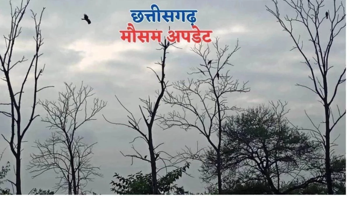 Chhattisgarh Weather: छत्तीसगढ़ से मानसून की विदाई, अब दिन में रहेगी चटक धूप; IMD ने दी जानकारी