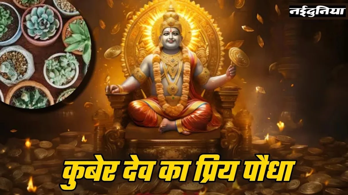 Dhanteras 2025 पर घर लाएं ये पौधा, मिलेगा कुबेर-लक्ष्मी का आशीर्वाद, धन-संपत्ति बढ़ेगी