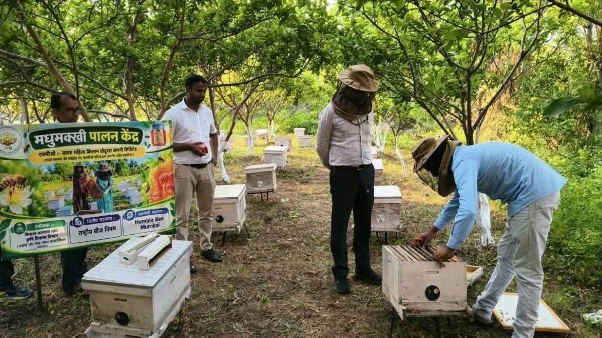 जल संरक्षण और महिला उद्यमिता से खेती को मिला नया आधार, प्रधानमंत्री धन-धान्य...