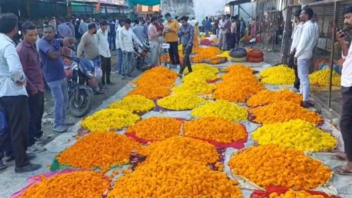 दिल्ली-गुजरात में मांग तेज, गेंदा, सेवंती सहित सभी फूलों के दाम बढ़ रहे, 300 रुपये किलो तक बिकेगा गुलाब