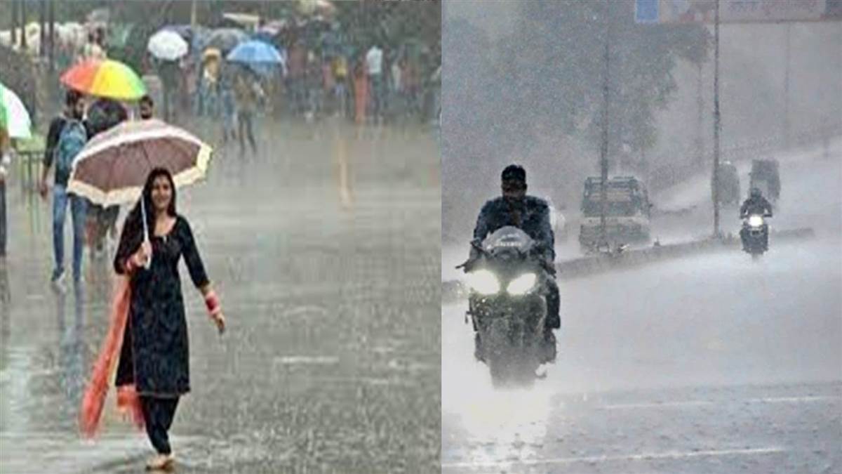 ग्वालियर-चंबल में अगले तीन दिन गरज-चमक के साथ बारिश का अलर्ट, अचानक मौसम हुआ सर्द