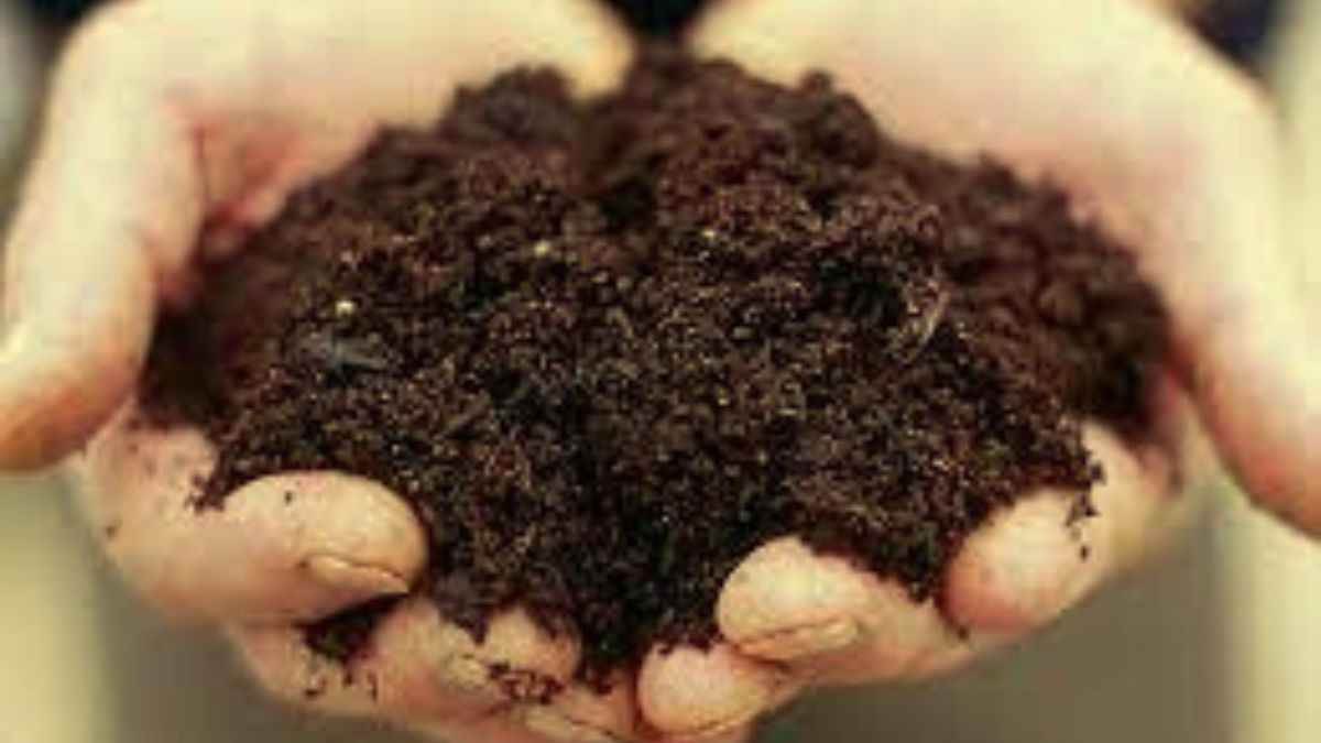 मिट्टी में आर्गेनिक कार्बन का संकट, उर्वरकों की अति और जलवायु बदलाव से बढ़ी खतरे की घंटी