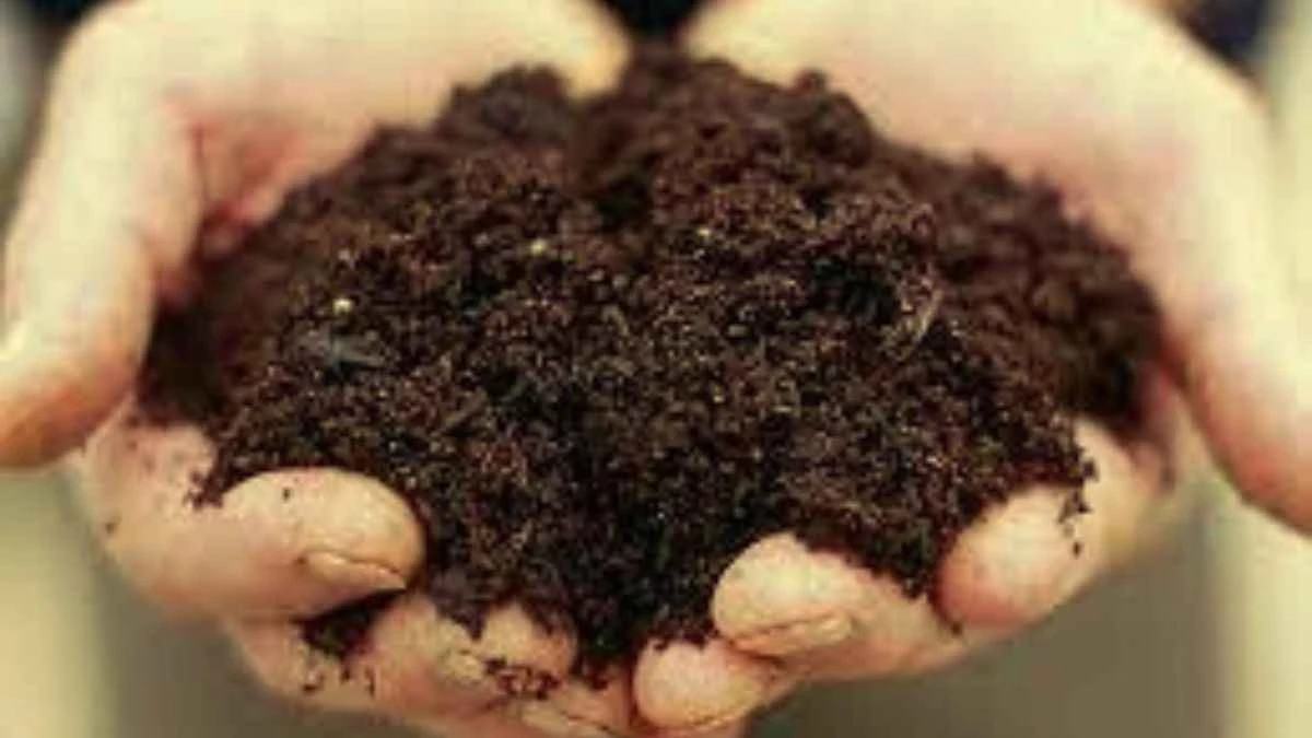 मिट्टी में आर्गेनिक कार्बन का संकट, उर्वरकों की अति और जलवायु बदलाव से बढ़ी खतरे की घंटी