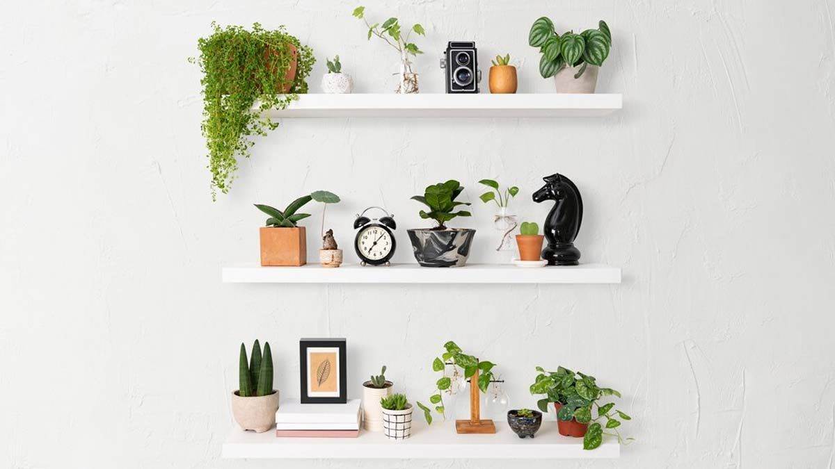 वास्तु के हिसाब से बनवाएं फ्लोटिंग शेल्फ, घर से दूर रहेगी नकारात्मकता