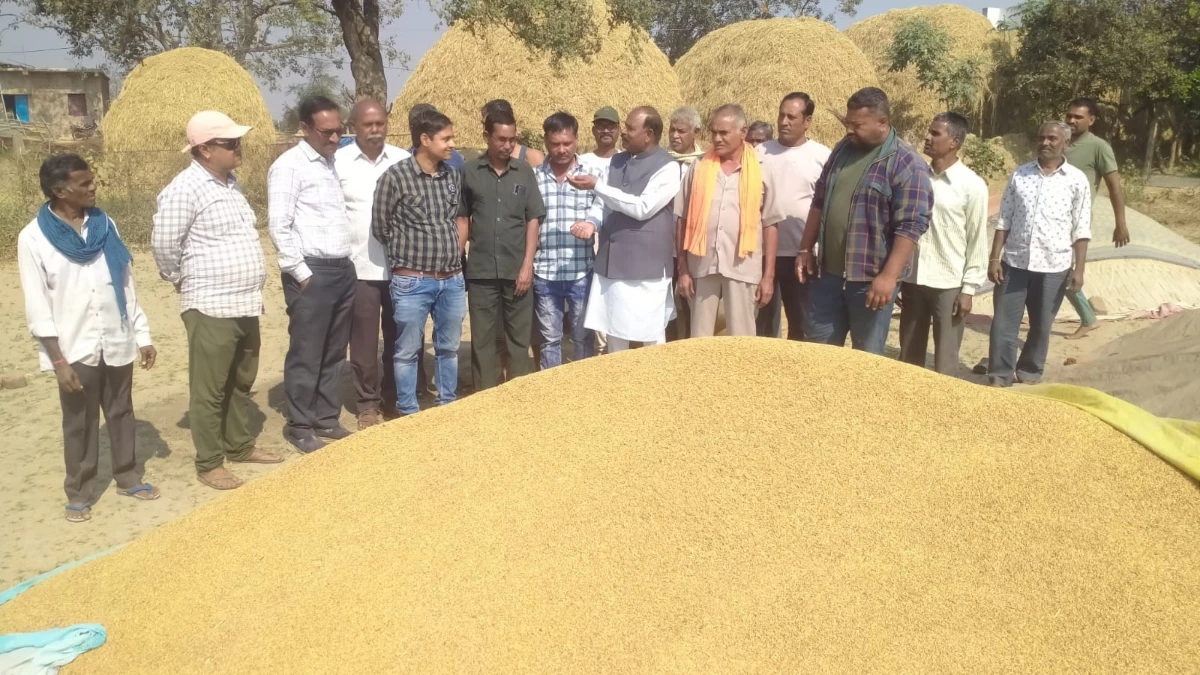 छत्तीसगढ़ में धान खरीदी पर 'ग्रहण'... 31 तक है डेडलाइन लेकिन टोकन बंद; कहीं चक्काजाम तो कहीं करोड़ों का घोटाला