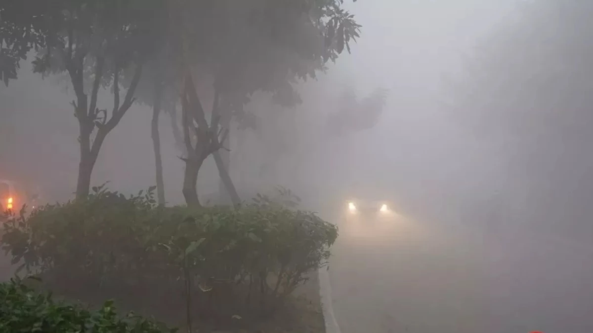 Weather Update: सर्दी और घने कोहरे के बीच अगले 3 दिन इन राज्‍यों में बारिश की संभावना