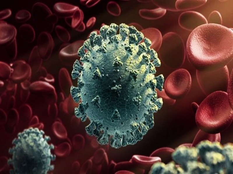 Mp coronavirus update: मध्‍य प्रदेश में ढलान पर कोरोना, 1328 नए संक्रमित मिले, 6 की मौत