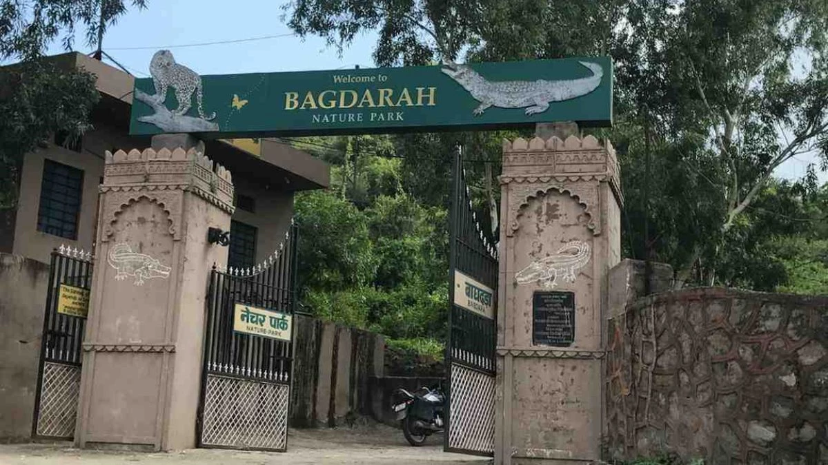 सिंगरौली का बगदरा अभयारण्य होगा डिनोटिफाई, अब पर्यटन पर जोर देगी MP सरकार