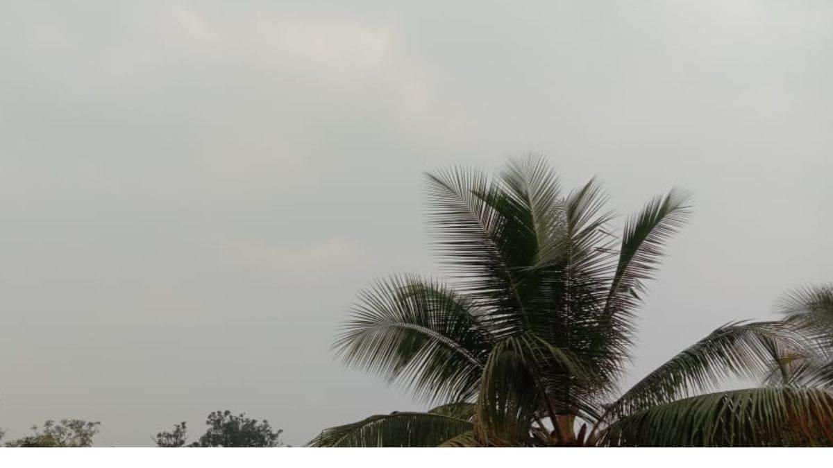 Ambikapur Weather News: विक्षोभ के असर से अंबिकापुर संभाग में बदला मौसम