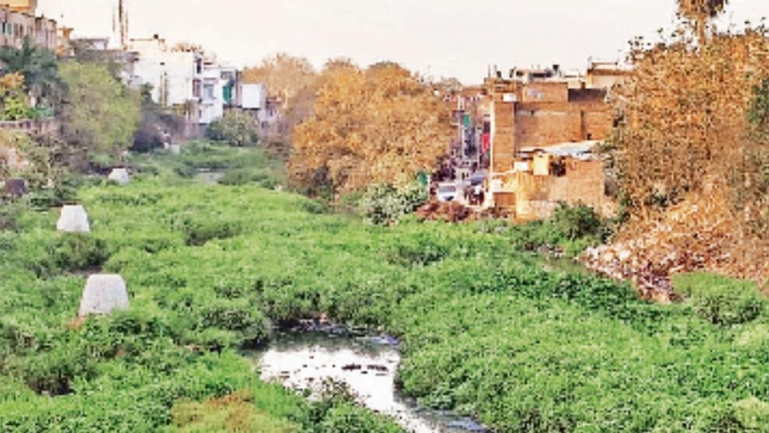 बैसली नदी के किनारे बसे 140 परिवारों को बेदखली नोटिस, ग्वालियर में अतिक्रमण हटाओ अभियान पर राजनीति तेज