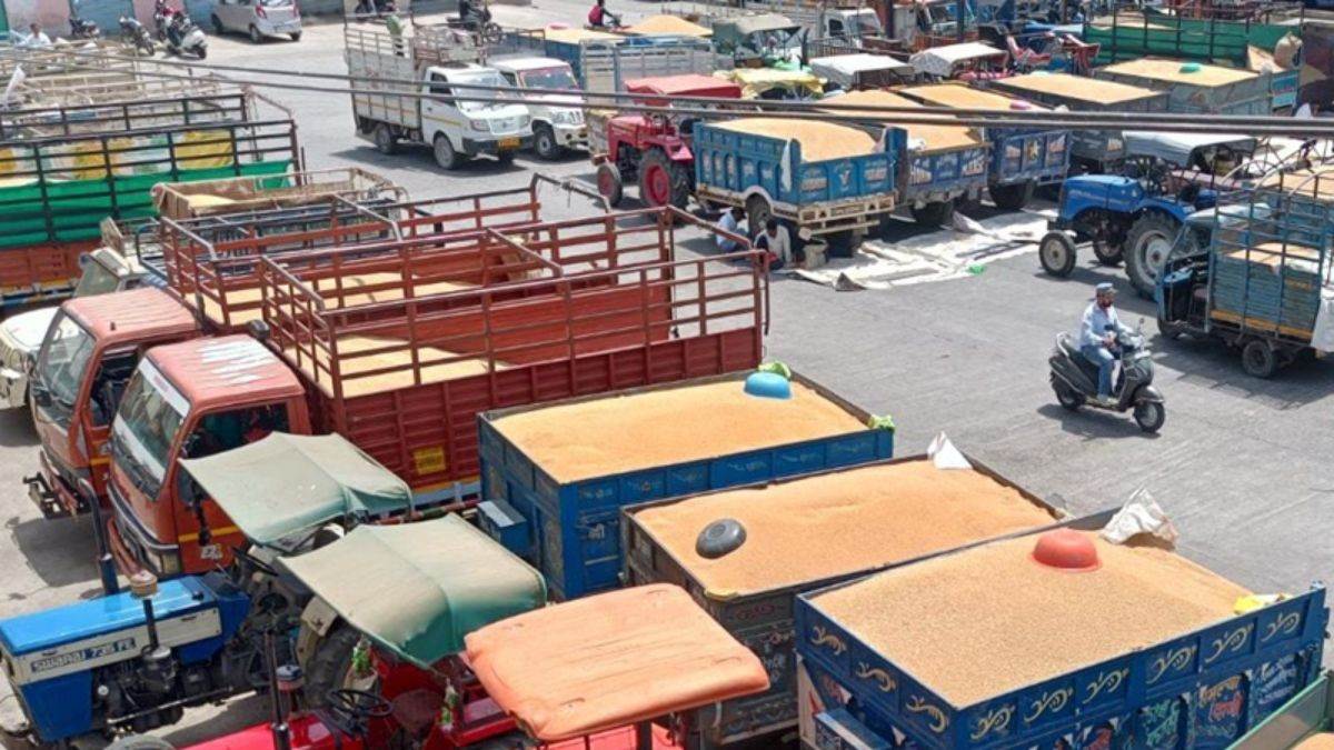 छावनी मंडी में 'नो-एंट्री' पर महासंग्राम... व्यापारियों ने जड़ा मंडी गेट पर ताला, किसानों के साथ जमीन पर बैठे सचिव